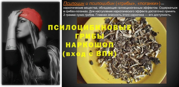 прущий лед Карпинск