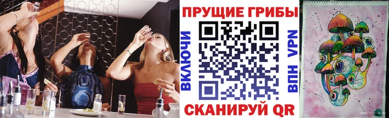 Галлюциногенные грибы Cubensis  Купить где  Бежецк 